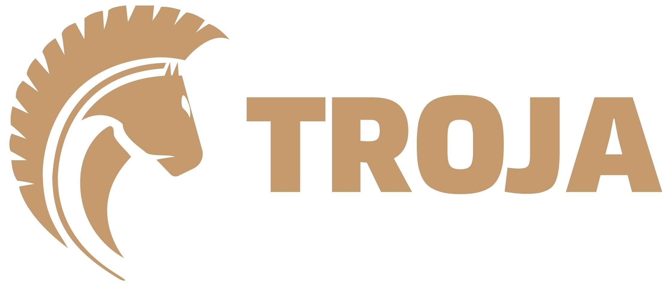 TROJA TIRE SHOP-Logo