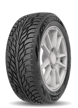 175/70_R13_ARCTERRAIN_W860